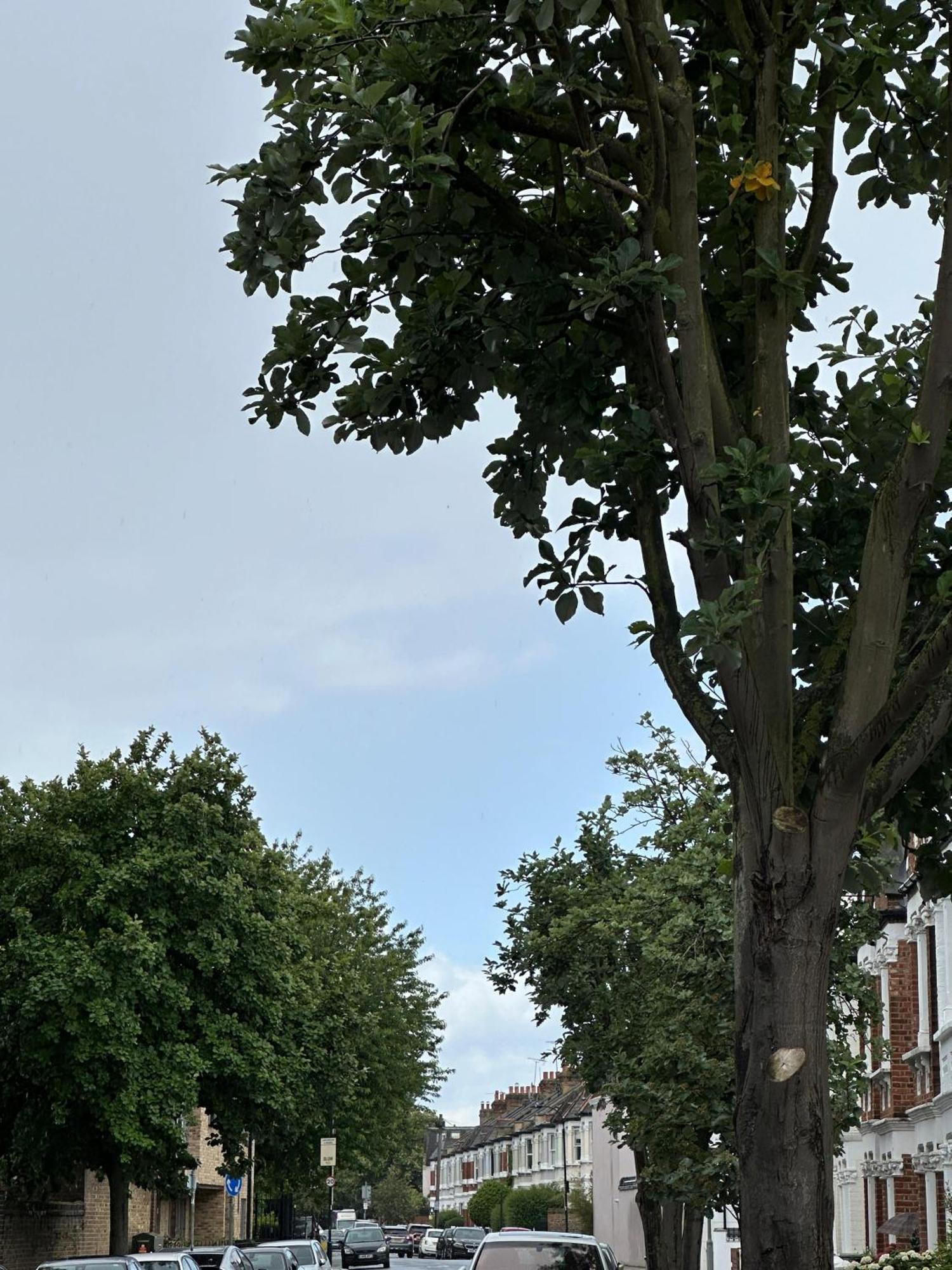 Appartamento Budget 2 Bedroom Close To Hyde Park *